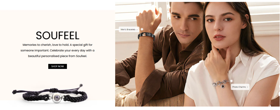 Soulfeel Official Website Screenshot